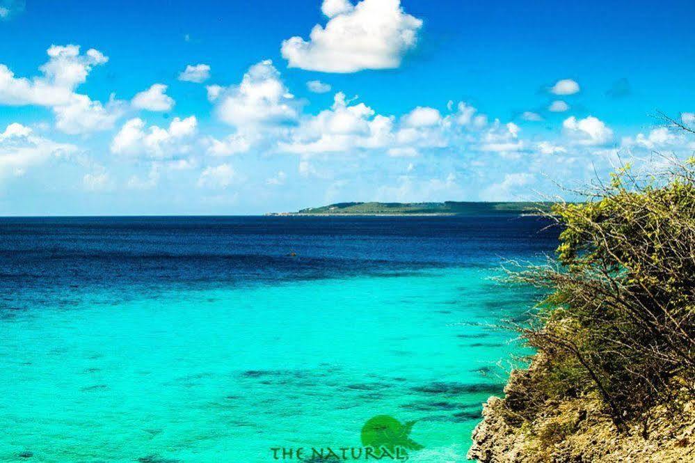 Bandabou Breeze Curacao Aparthotel Willibrordus Εξωτερικό φωτογραφία